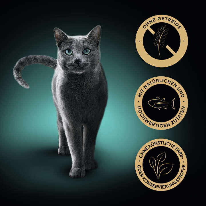 Sheba Katzen-Nassfutter Nature's Collection Thunfisch in Sauce